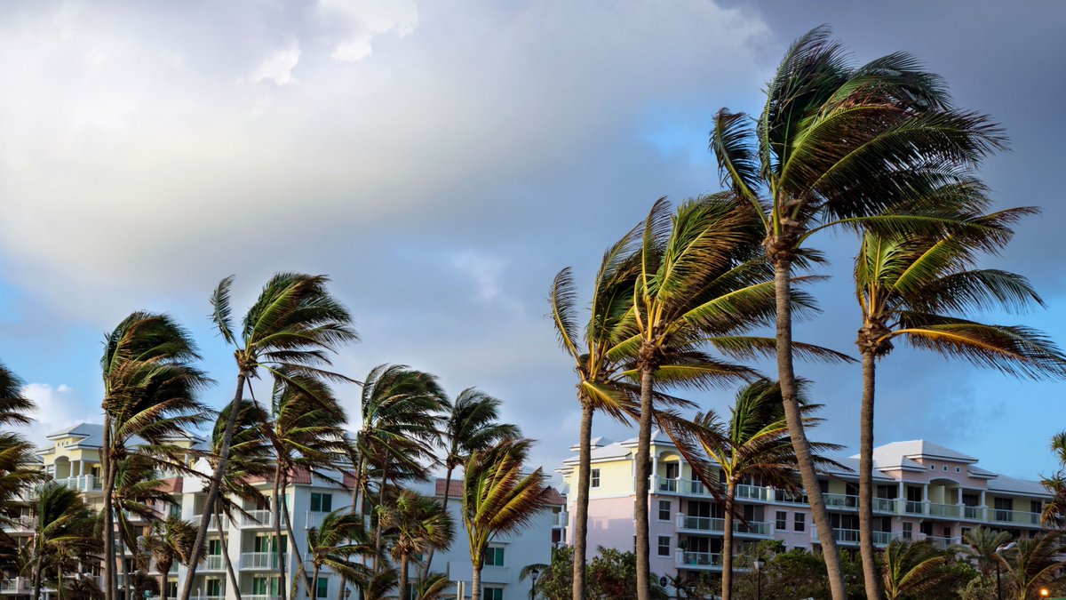 ClimateFinAdv's tweet image. As part of our EU-USCA engagement with @EU_Commission and @USClimate, CFA is pleased to share a series of case studies on measures that promote #resilience in the US and Europe.

Read the case studies here: lnkd.in/d4webHtB

#ClimateAction #EUandUSCA #climatefinance