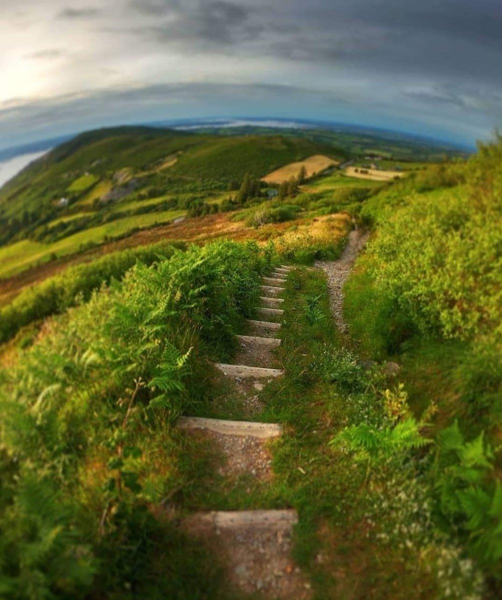 TipperaryTourism (@visittipp) on Twitter photo Close to Ballina, Co. Tipp, is the loop trail - the Graves of the Leinster Men and Touttinna Circular. The trail will bring you along the beautiful countryside and through the Arra Mountains for spectacular views of Lough Derg.
Photo: Susan McNamara
<a href="/HeartlandsIRL/">Ireland's Hidden Heartlands</a> #VisitTipp Close to Ballina, Co. Tipp, is the loop trail - the Graves of the Leinster Men and Touttinna Circular. The trail will bring you along the beautiful countryside and through the Arra Mountains for spectacular views of Lough Derg.
Photo: Susan McNamara
<a href="/HeartlandsIRL/">Ireland's Hidden Heartlands</a> #VisitTipp