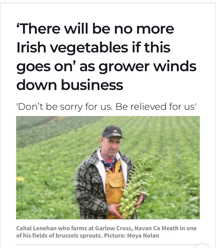 irishexaminer.com/farming/arid-4…  Very uncertain times ahead for Irish growers. If we don’t get a fair price there will be no one left. Years of knowledge and experience will be gone. We are at crises point. 3 sizeable growers given up in past year.