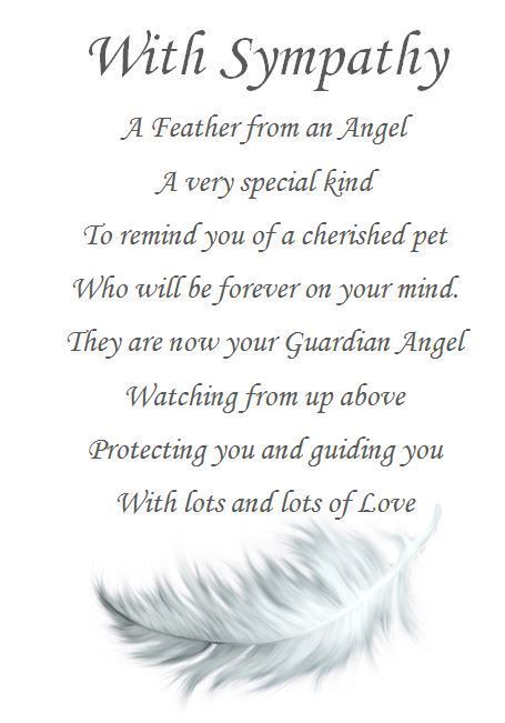 SusieQ6shooter's tweet photo. @sharonacross Very sorry for you loss. #GodBless #GodRest #Freddie https://t.co/SjkmjfM8J0