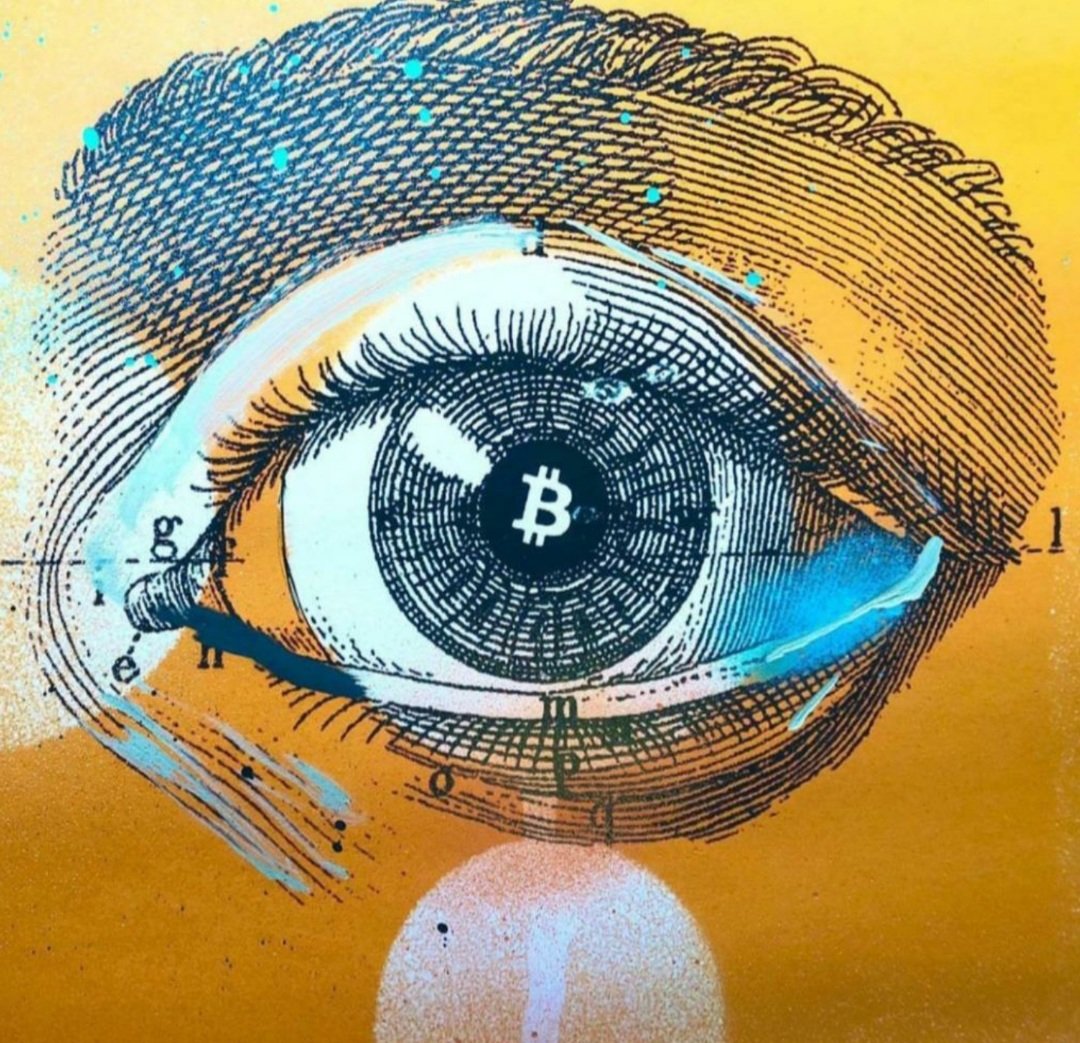 Rose5G20's tweet photo. #Bitcoin is all I see, Bitcoin gives you the leverage to have complete freedom over your money. https://t.co/HQJN4RN4pA