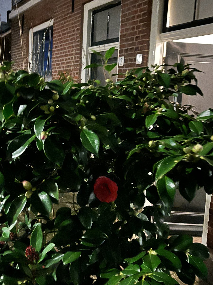 Vrolijk thuis komen. De 1e dit jaar 🤓😍