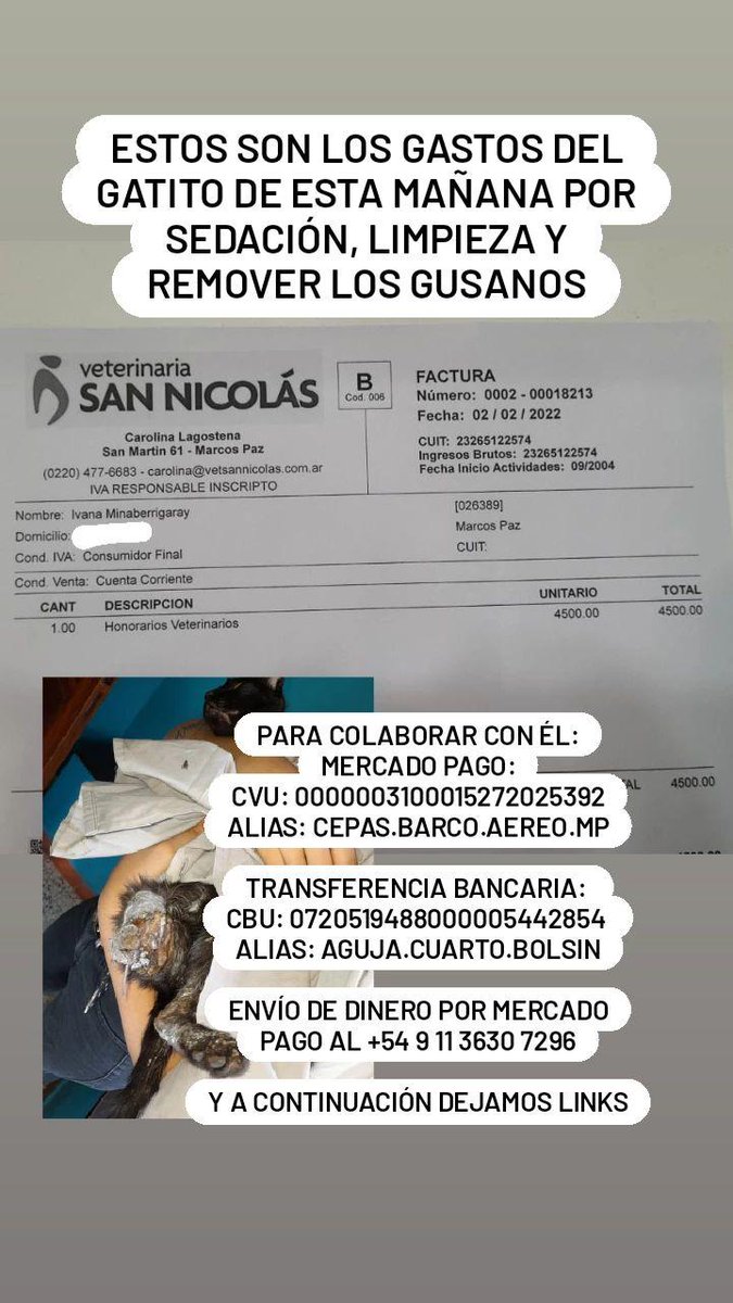 0hmyfuck's tweet photo. Buenas, hoy arrancamos el día tomando el caso de un gatito con la pata totalmente destrozada, tenemos que cubrir gastos veterinarios y alimento, y necesitamos un tránsito donde se pueda reponer. Me ayudan a difundir? Somos @alrescatemarcospaz en ig https://t.co/HOE6GBMuXh