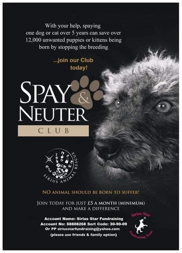 siriusanimalre1's tweet photo. This is why our spay and neuter programme is so desperately needed. If you can help please see the details below. #FORMABEL https://t.co/TVffW3b21y
