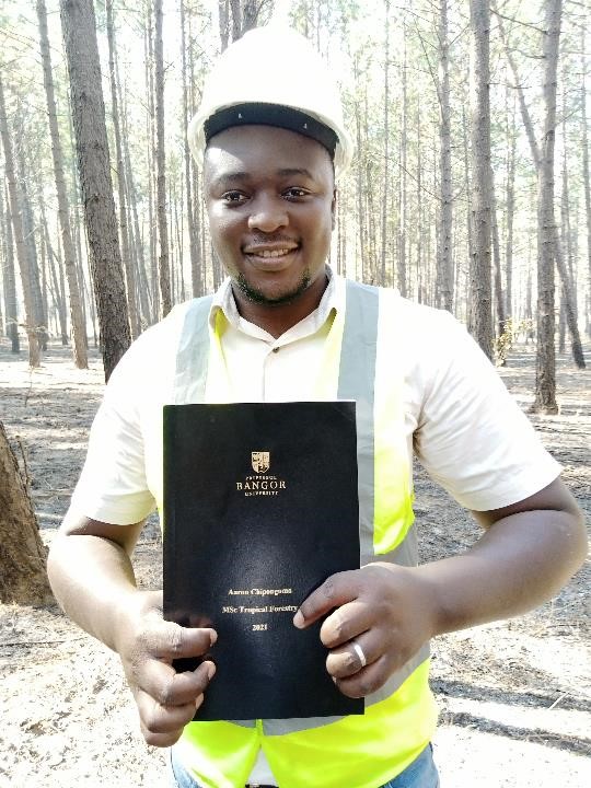 BUForestry's tweet photo. 🤩#scholarships 👋for #MSc #agroforestry &amp; #foodsecurity OR #MSc #tropical #forestry 🌳🌟🌲  from @commschols now available for Sept 2022 entry - follow link for guidance on how to apply 👉 https://t.co/kTcPe8SCx5 @FAO @IUFRO_IFSA_JTF 
@ICRAF @CIFOR @BangorUni @BangorSNS https://t.co/eNpYu5NHCM