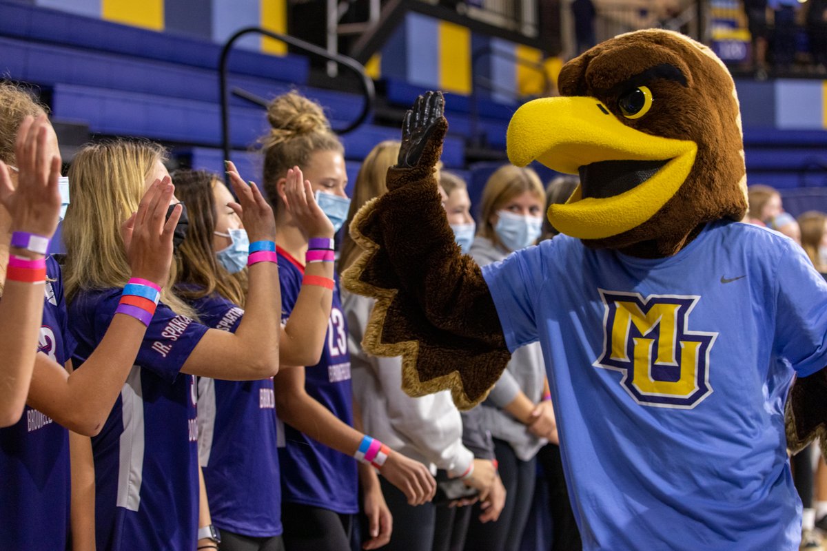 Marquette Volleyball tweet media