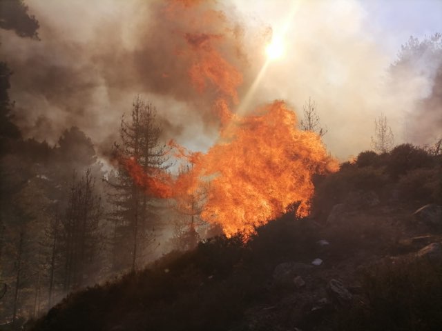 sis_2b's tweet photo. Traitement de l’incendie d’Albertacce dans le Niolu par l’action de la Cellule Emploi du Feu du SIS 2B 🔥appuyée par les FORSAP de la CDC et l’ONF @Sis_2b @IsulaCorsica @ONF_Officiel https://t.co/atdQgbIR6g
