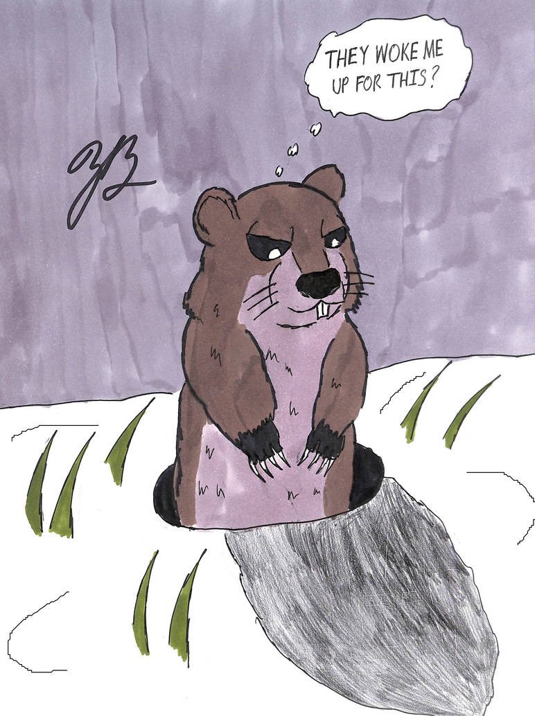 Anyone else wonder if the Groundhog hates waking up in the middle of hibernation to look at his shadow? Because I'd be piss if I had to do that.  #GroundhogDay #GroundHogDay2022 #art #animals #traditionalart
