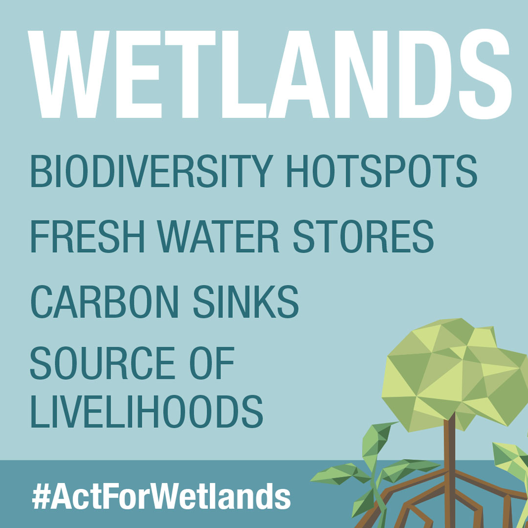 Today is World Wetlands Day! Our wetlands provide so much to individuals and our communities. They are also critical to how well we can adapt to climate change and mitigate impacts. Love your wetlands! They're worth fighting for!