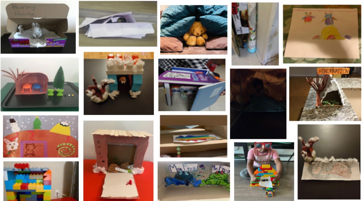 CPALTDSB's tweet photo. Our Winter animals are preparing for hibernation. We heard that there will be another snowstorm this week.
There are so many warm and cozy spaces that our virtual Kinder’s created, which home would you hibernate in?
#virtualfdk #virtuallearning @TDSBForestManor https://t.co/TAURkMqlnn
