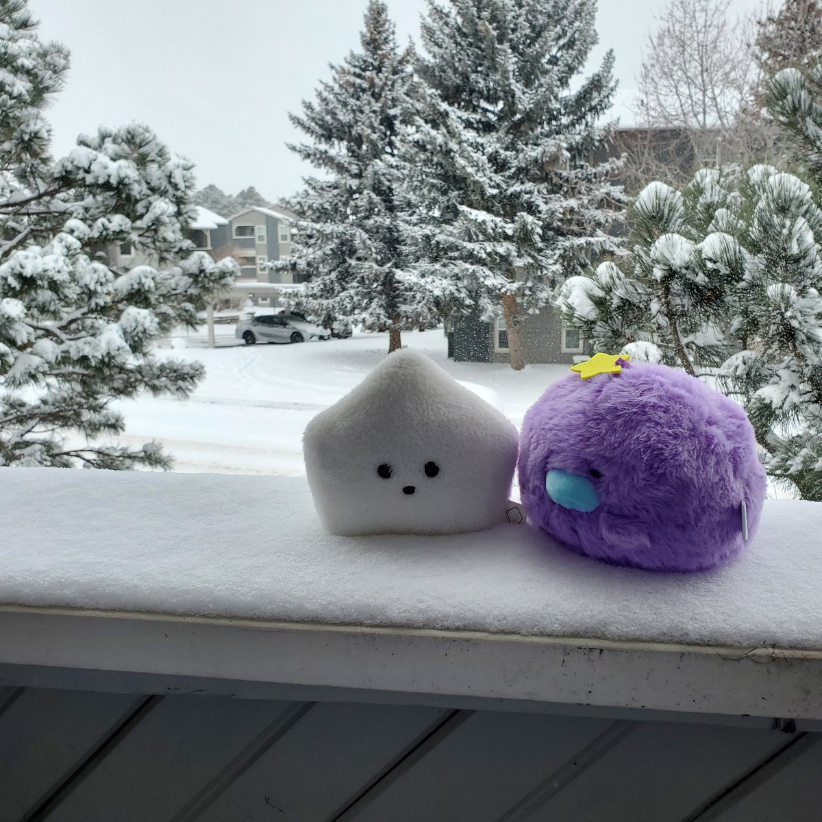 sucklet7's tweet photo. another lovely winter snow day. ❄️.
#sucklet #snowlet #moley https://t.co/c9GXd0eR9k