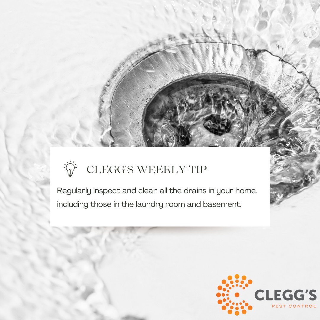 Sink and floor drains often accumulate gunk and debris that can attract pests. Eliminating conditions in your home that appeal to pests will help to reduce the attraction that brings them in. #pestprevention

Contact us for your free inspection! cleggs.com
