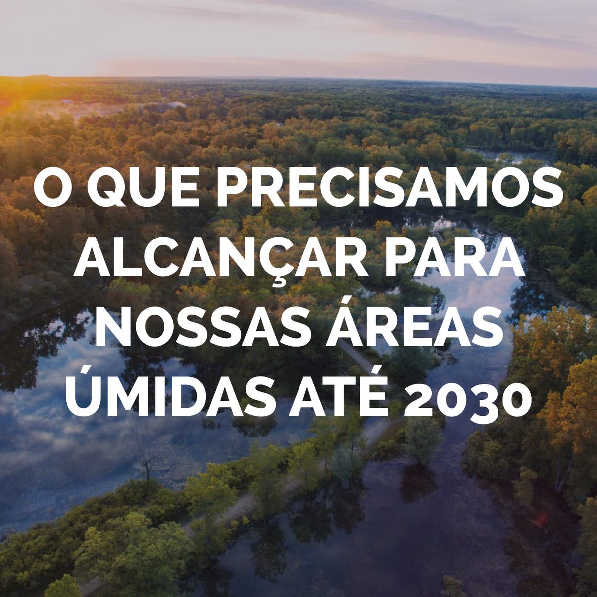 WetlandsIntBR's tweet photo. Dia Mundial das Áreas Úmidas - 2 de Fevereiro!
Para cumprir nossas metas globais de biodiversidade e clima, e para limitar o aumento da temperatura global a 1,5°C, precisamos proteger nossas áreas úmidas. Acesse: https://t.co/ss5qUrflgk https://t.co/ZGizzZg3uK