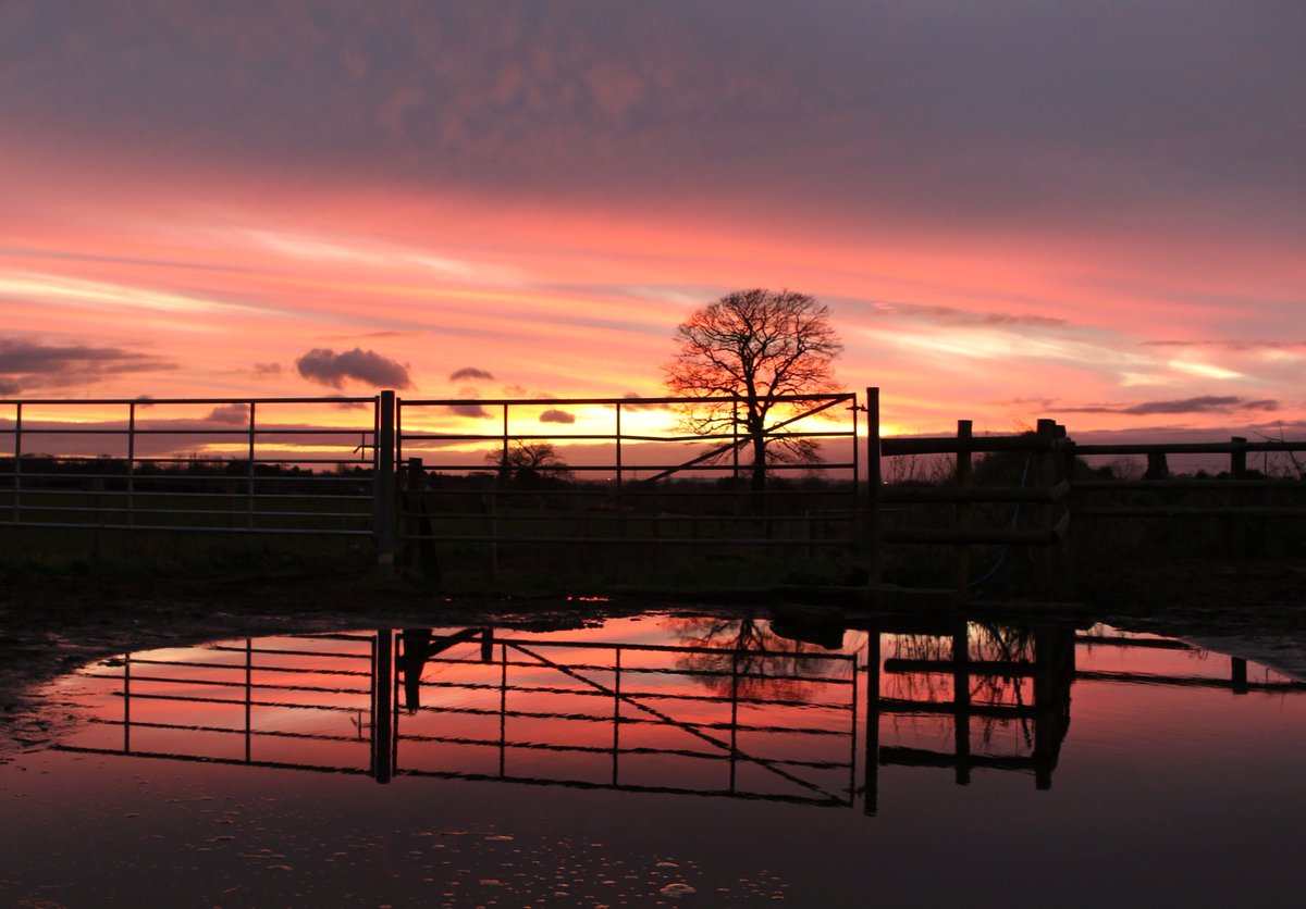 Hevvyr's tweet photo. Tonight's sunset and blocked drain on the yard @NFUCountryside #sunset #farmlife https://t.co/fIdiDbU4sF
