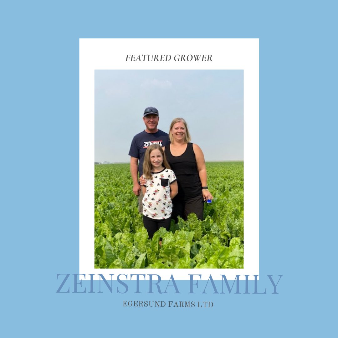 Our February Featured Grower is Jason Zeinstra! Their multi-generational farm has each member of the family involved when it comes to sugar beet production! Visit here to learn what everyone's role is! albertasugarbeets.ca/content.php?p=…
#ABsugar22 #Farming #Agcanada #agriculture #Alberta