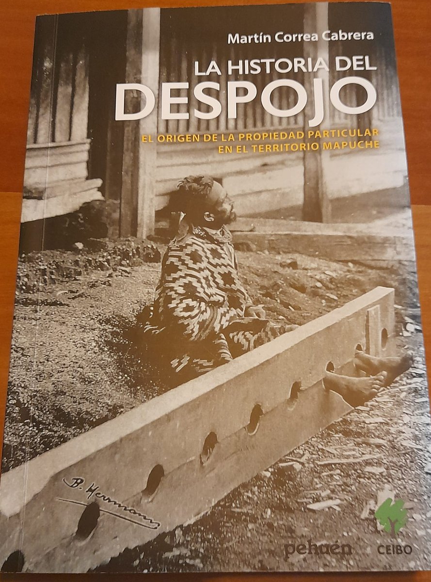 lfuentes_a's tweet photo. Comenzando a leer un gran libro: "La historia del despojo", de Martín Correa Cabrera, historiador y doctor en antropología. #HistoriaMapuche #HistoriaChile #Wallmapu #Ngulumapu #Arauco #Malleco #Cautin #Huillimapu #PehuenEditores #CEIBOEdiciones #Territorio #Propiedad https://t.co/rUj4kPIs1a
