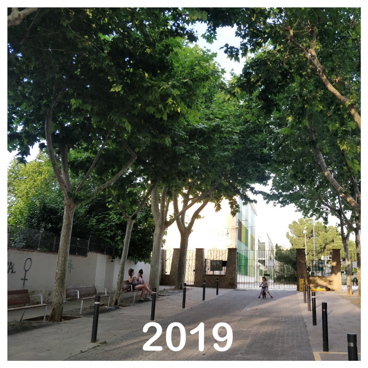 PauCasals_Rubi's tweet photo. L'@AjRubi dignificà l'accés a l'escola el 2019 però va retirar els bancs en ple confinament 1 any després... On són?
Obrim fil 👇🏻 https://t.co/jrO7PWv3lM