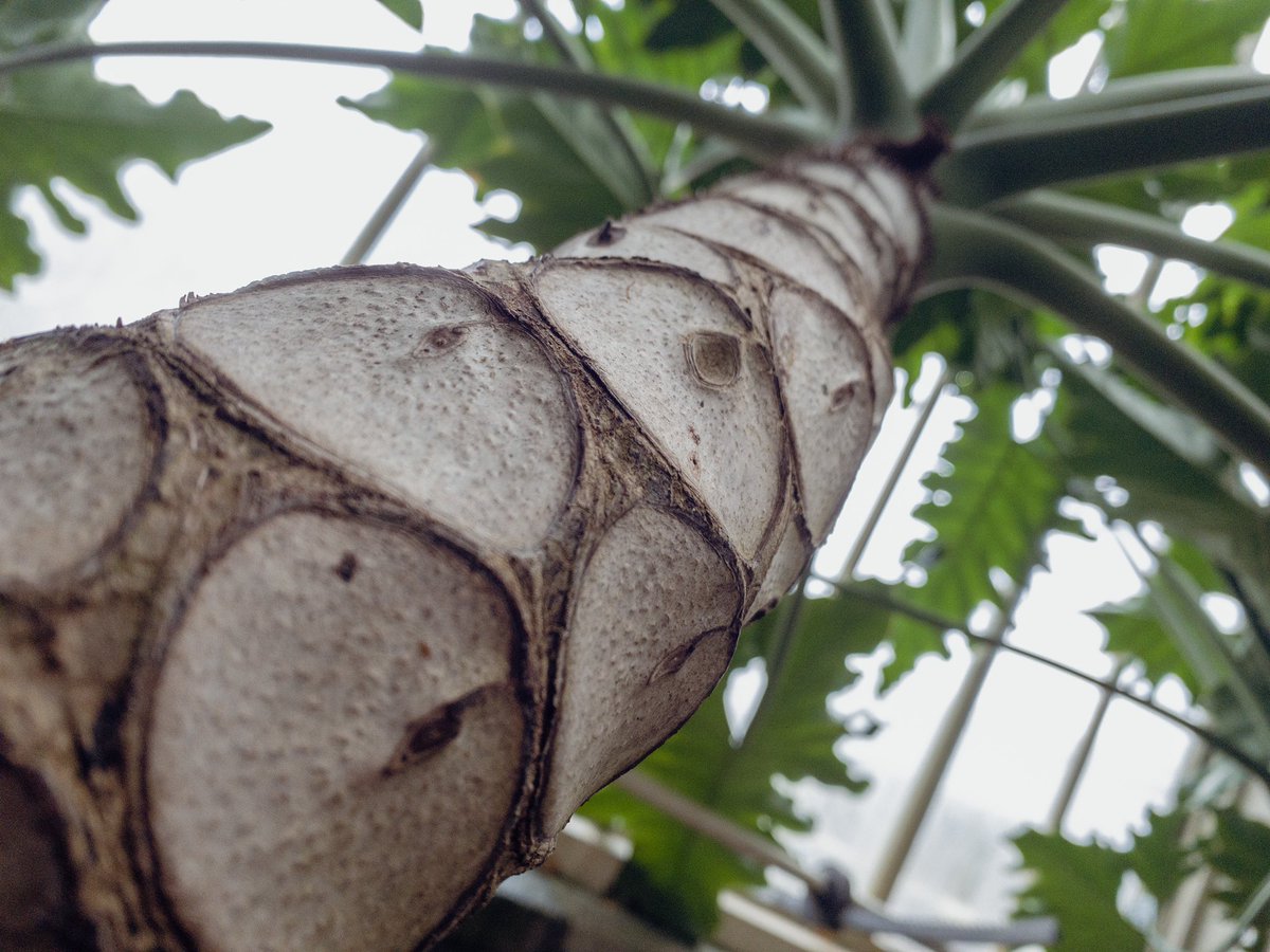 Colin Tonge tweet media