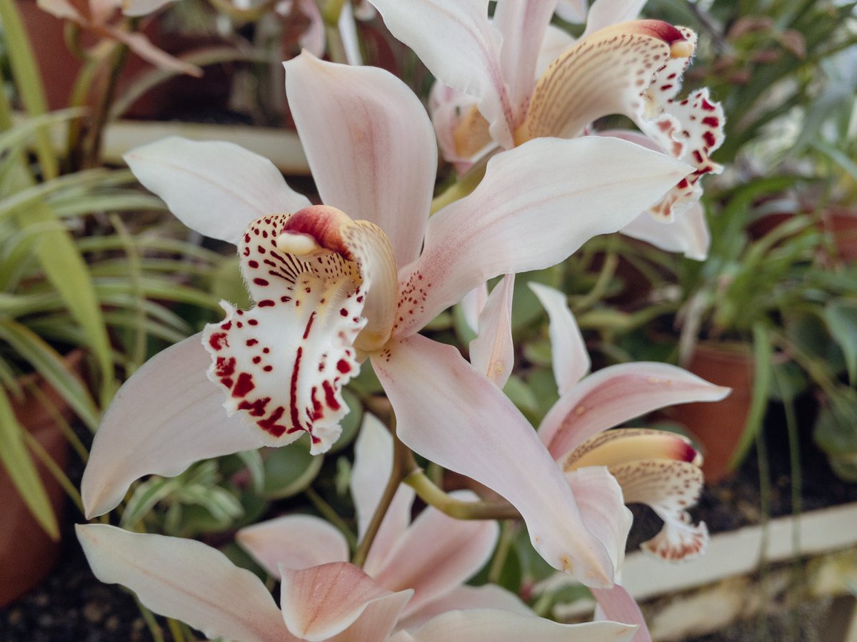 Colin Tonge tweet media