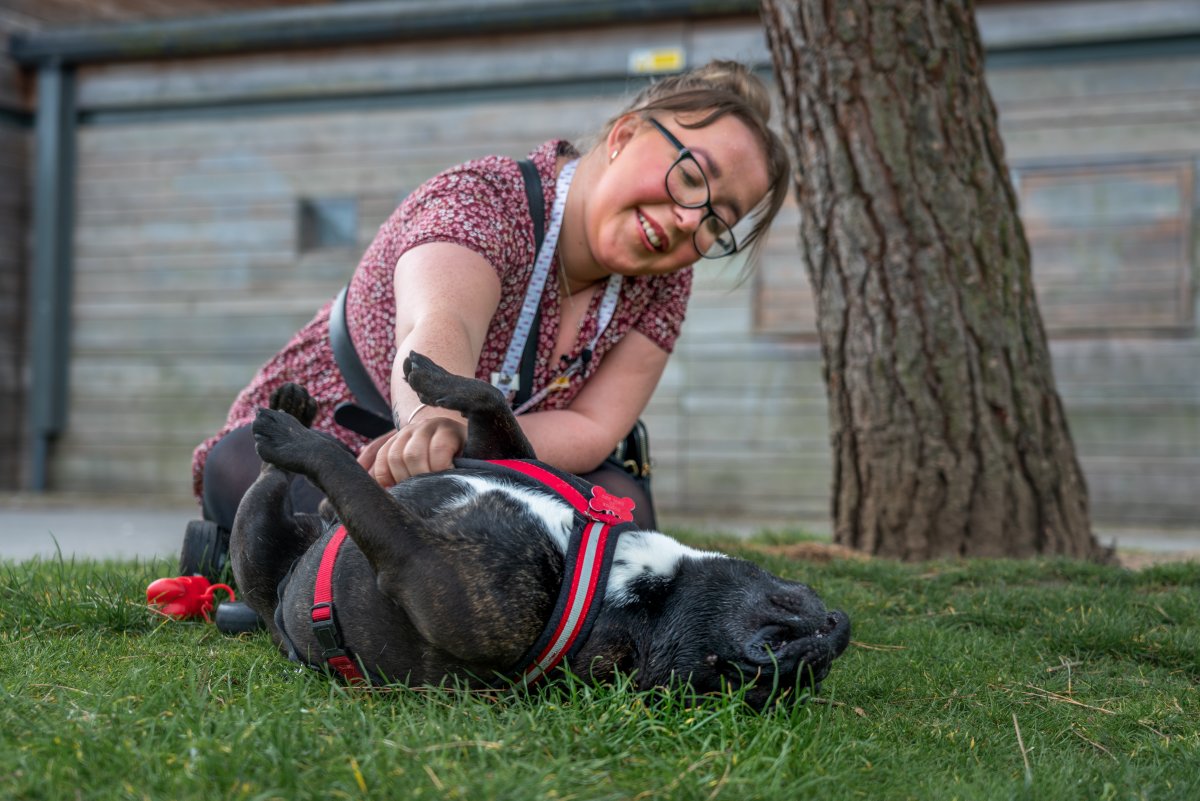 "My advice would be to be your true authentic self" - <a href="/CourtneyPeet3/">Courtney Louise Violet</a> 

<a href="/wearebey0nd/">Beyond</a> <a href="/NAViGOCARE/">Navigo</a>