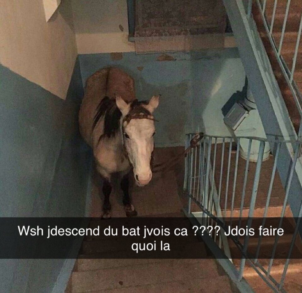 l_rndx's tweet image. Ptddrr jsuis en larme c’est le meilleur snap