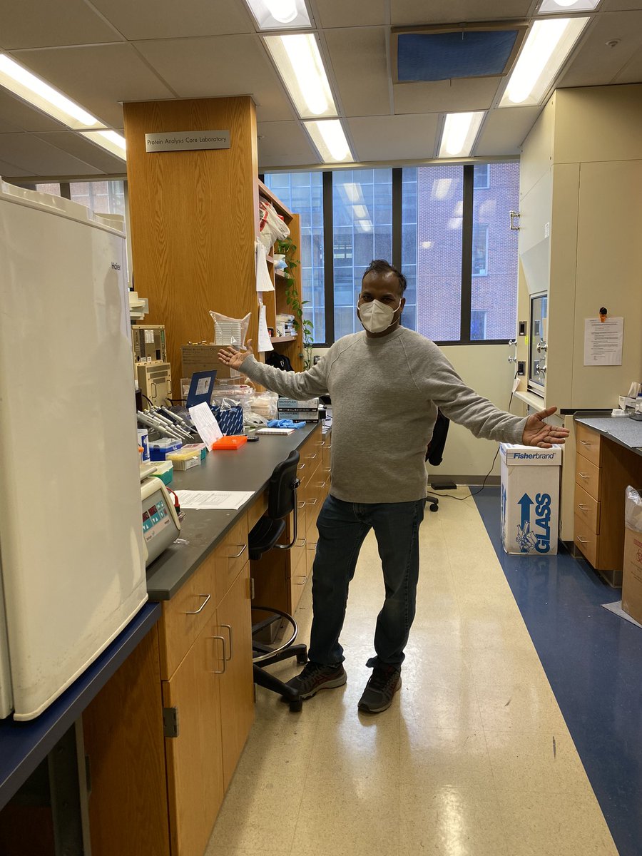 Mary Kay Lobo (@marykaylobo) on Twitter photo Finally get to see <a href="/UMBVirusCore/">UMB Viral Vector Core</a> newish space IRL. Directed by Ramesh Chandra, the first Postdoc in my lab, who made all of our viral vectors, established many other molecular techniques in the lab, and taught our first lab members molecular biology. Congrats Ramesh! Finally get to see <a href="/UMBVirusCore/">UMB Viral Vector Core</a> newish space IRL. Directed by Ramesh Chandra, the first Postdoc in my lab, who made all of our viral vectors, established many other molecular techniques in the lab, and taught our first lab members molecular biology. Congrats Ramesh!