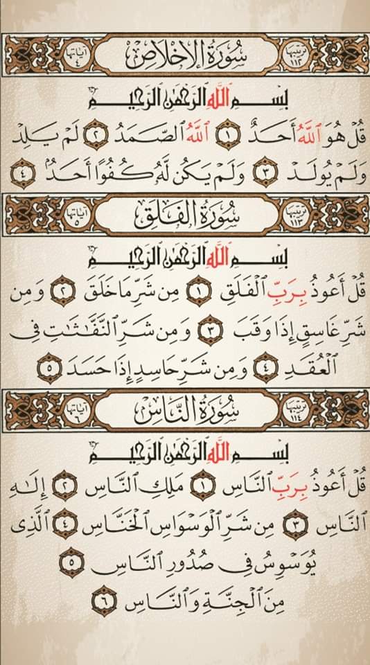 لعلها المُنجية🤎✨