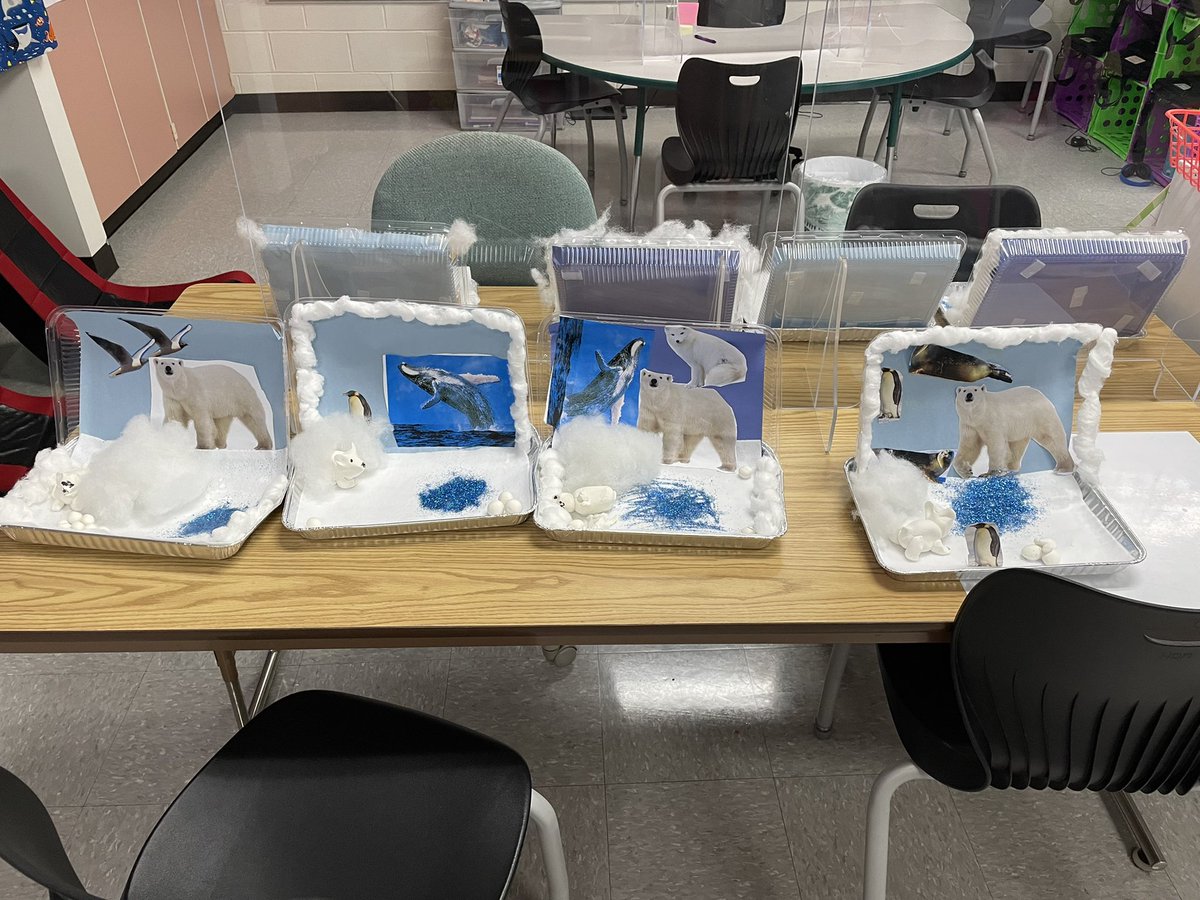 We finished up our genius hour unit with polar bear habitats. #oakflatproud  #bssdproud