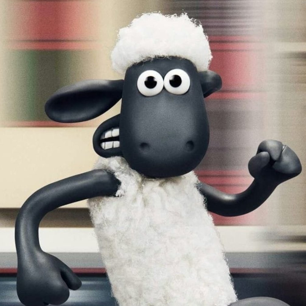 барашек рокки