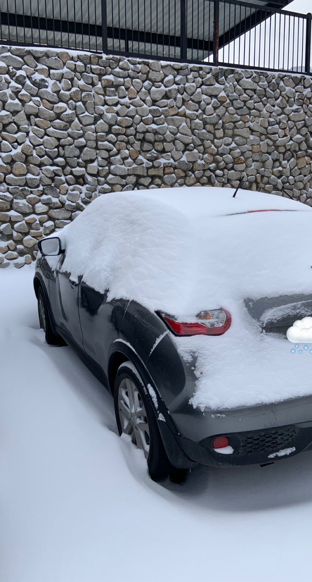 gracenieland's tweet photo. If I hadn’t already decided to work my @CoMissourian shift remotely, this definitely would have convinced me. (And yes, that is approximately a foot and a half of snow piled behind my car) #CoMoSnow https://t.co/xkVAjE71y1