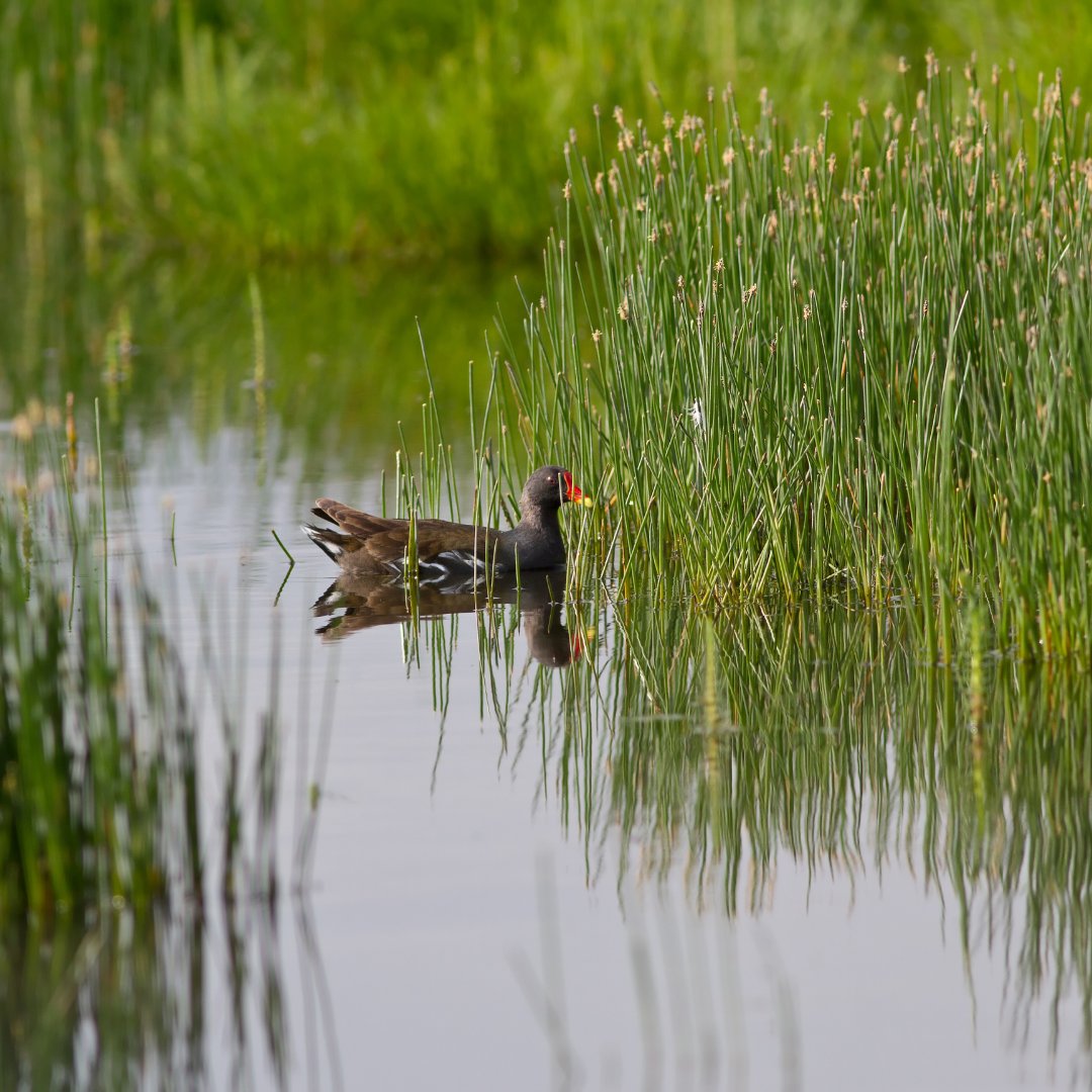 Eco~tech Systems tweet media