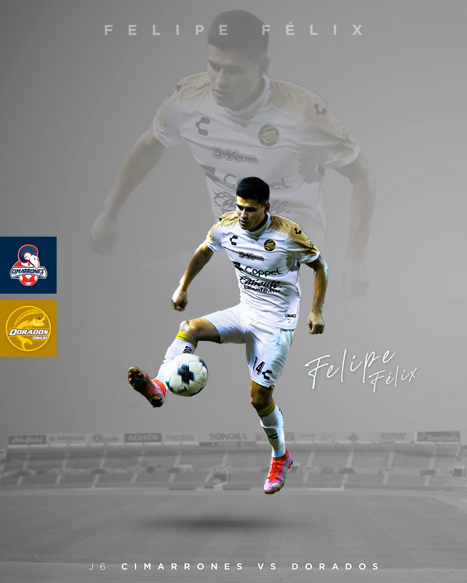 Con inteligencia y corazón, mi Pez.

🐠 <a href="/Dorados/">Dorados</a>