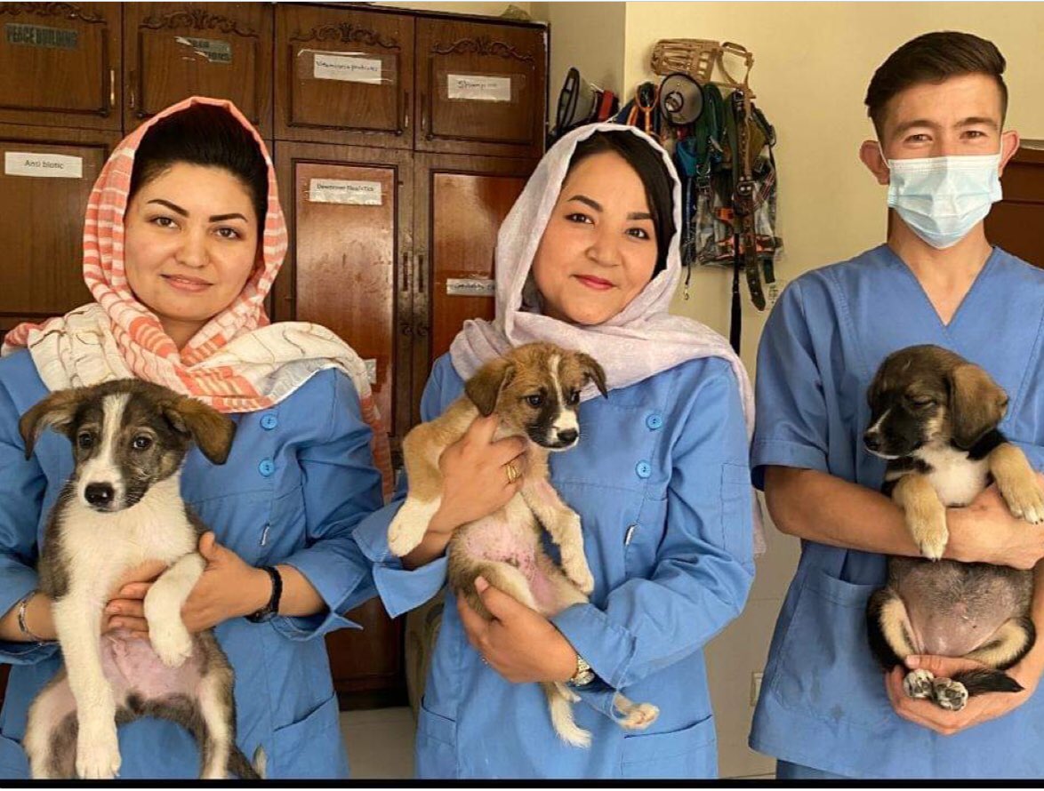 ZeeShore's tweet photo. More unbearable footage on news from Afghanistan.
Can barely bring myself to watch. but - this is something we can all do and actually make a difference - Support P.U.P a small rescue determined to go the whole way..
https://t.co/0FCxJ5apLP. https://t.co/UFnDENvBbe