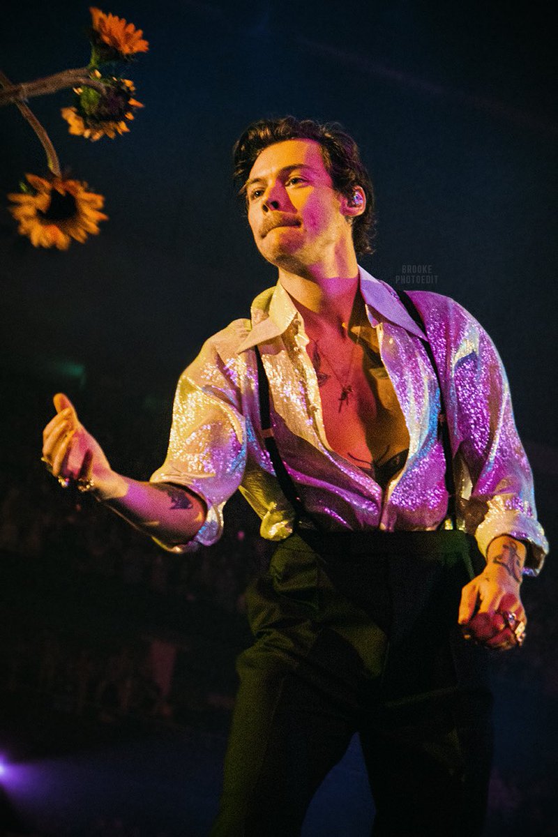 harry Styles pics (@thestylesfandom) on Twitter photo 