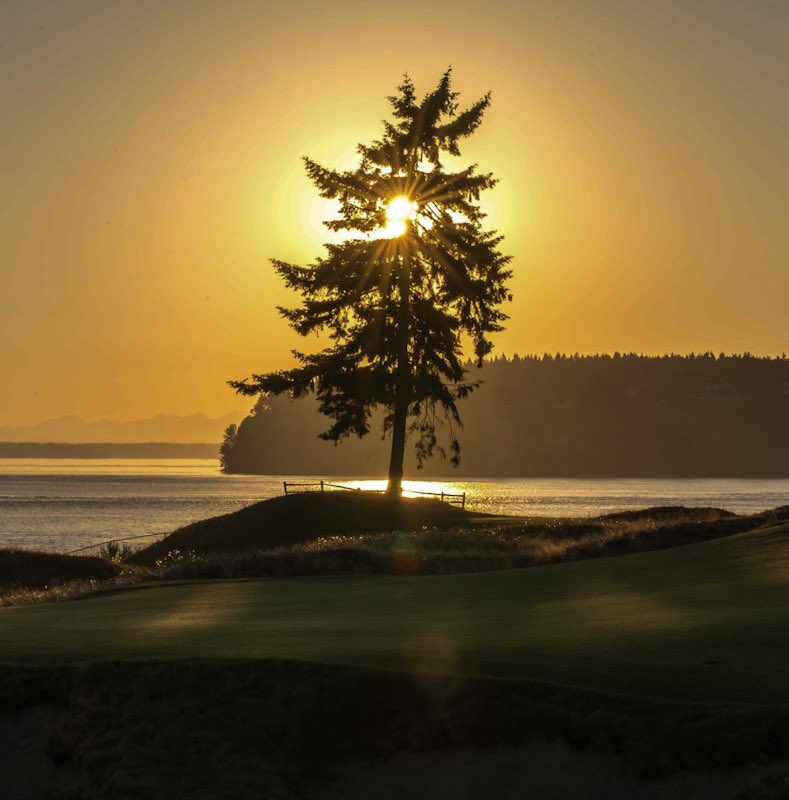 ChambersBaySolstice tweet media