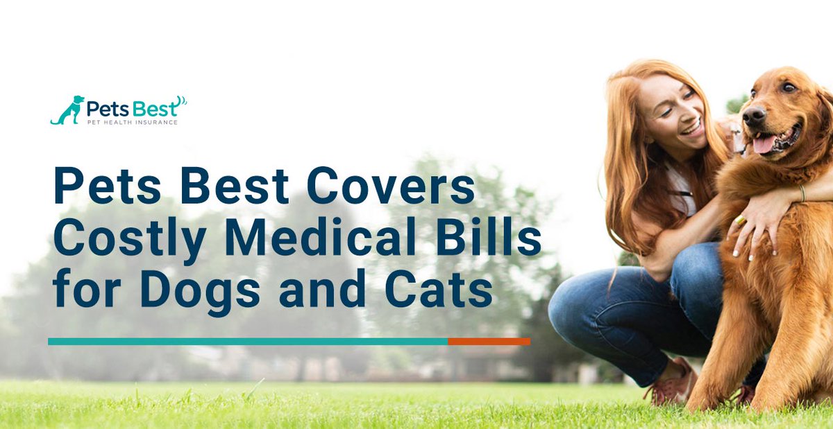 Since 2005, <a href="/PetsBest/">Pets Best</a> has made expensive vet visits more affordable. Policies cover accidents, illnesses, and routine care to keep pets in top shape. Pets Best also provides pet owners with educational resources on taking care of dogs and cats. Read more: bit.ly/3L5cuSM