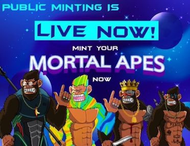 CryptoCupidx's tweet photo. 🌸THE TIME WE HAVE BEEN WAITING FOR IS HERE🌸

Mortalapes public minting is now live
0.06 ETH

❣️Visit https://t.co/5frkTZjBCg to mint

❣️Follow- @Mortalapes @JeffNft
https://t.co/nMuuzSdeG3

#ad #NFT #NFTCommunity #NFTGiveaway #NFTs #Airdrop https://t.co/trGhoFbG8E