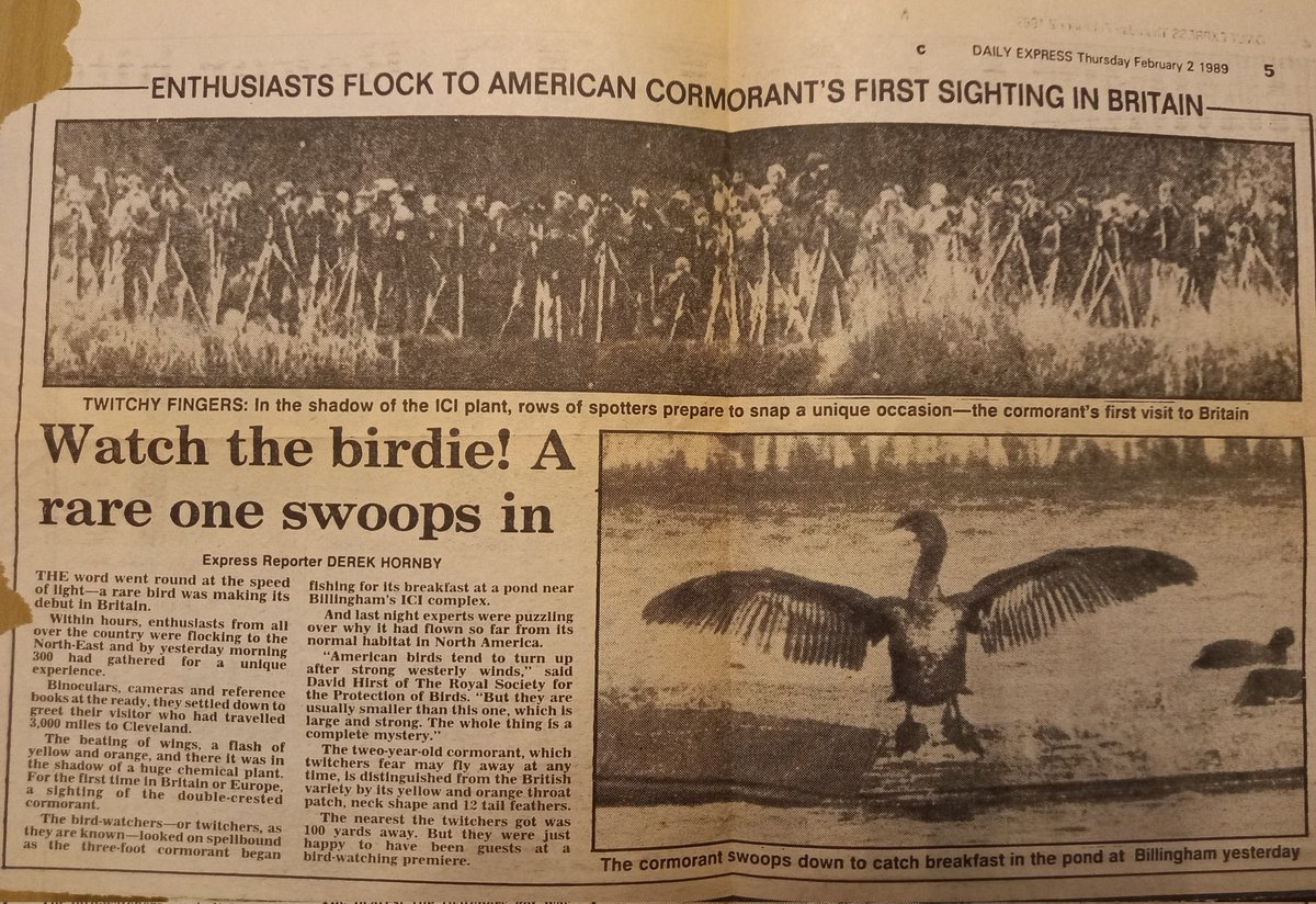 johnnymacbirder's tweet photo. From Tenerife to Teesside..Western Pally twitching 80s style. The Billingham Double crested Cormorant immortalised in newsprint. #oldnotebooks https://t.co/NjRW5SVYNS