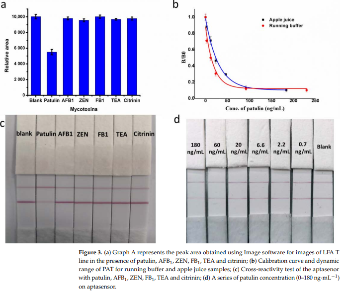 ClaremontBio's tweet photo. Collaborative research of countries & universities produces article in @Biosensors_MDPI using @ClaremontBio #ALFRD & describes development of a sensitive aptamer-based #lateralflowassay. https://t.co/0yRoPYcb8R @upvd1 @UABBarcelona #MinstryOfAgricultureAndRuralAffairs #OCRI_CAAS https://t.co/A3NMOmWPnI