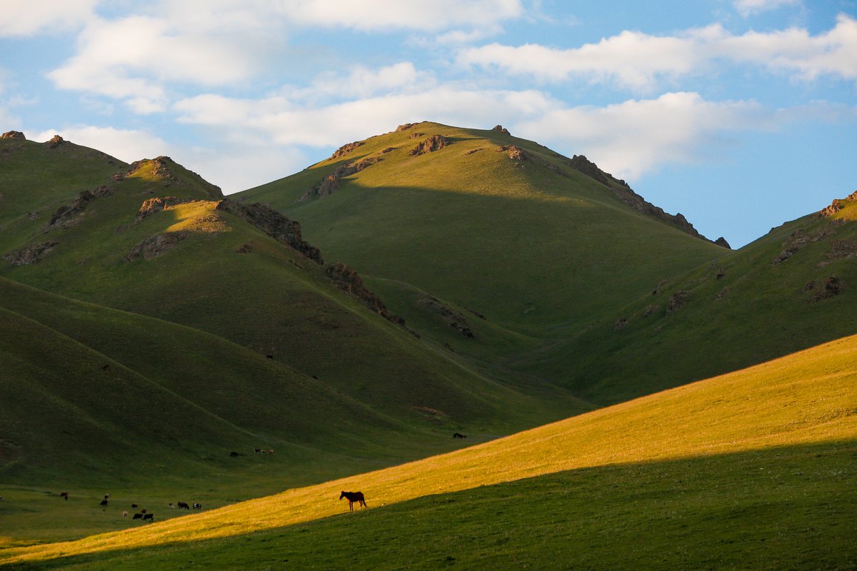At, rüzgarın kızıdır.