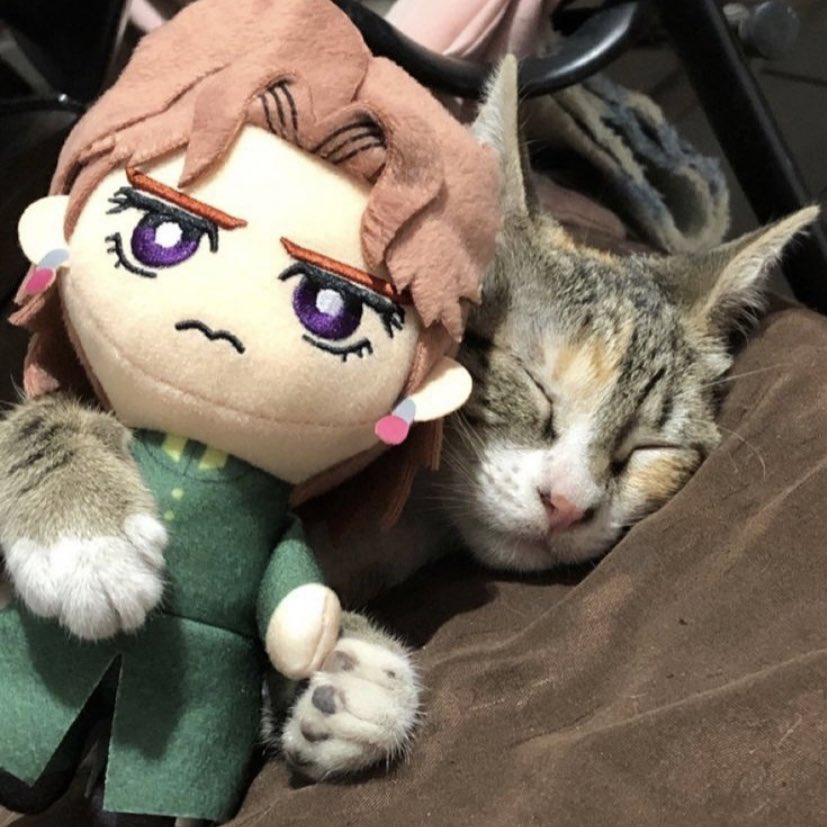 daily_kakyoin's tweet photo. https://t.co/gdDBsafPSl