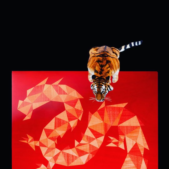 Lotusier tweet media