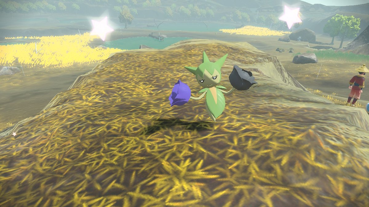 milk59595's tweet photo. #PokemonLEGENDS #NintendoSwitch https://t.co/mHuPp5k39a
