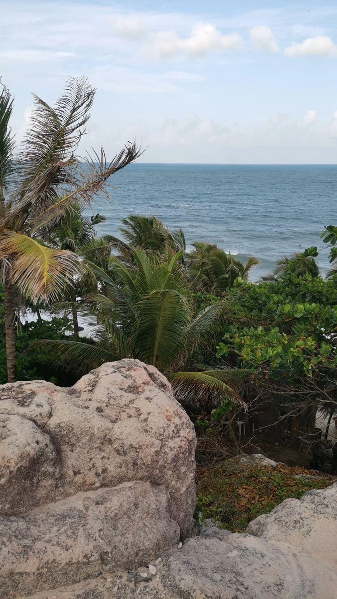 ManonCheche's tweet image. C'est pas dégueu