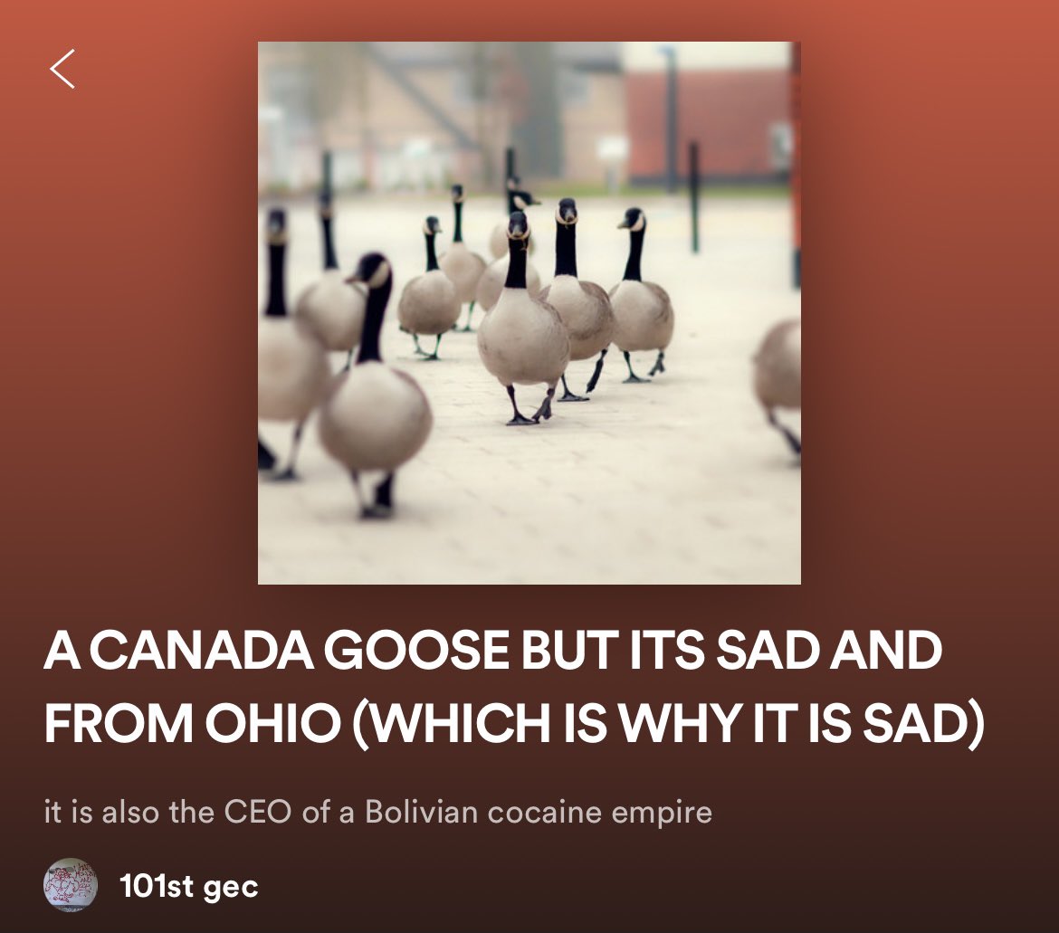 really leaning into those Midwest emo vibes rn