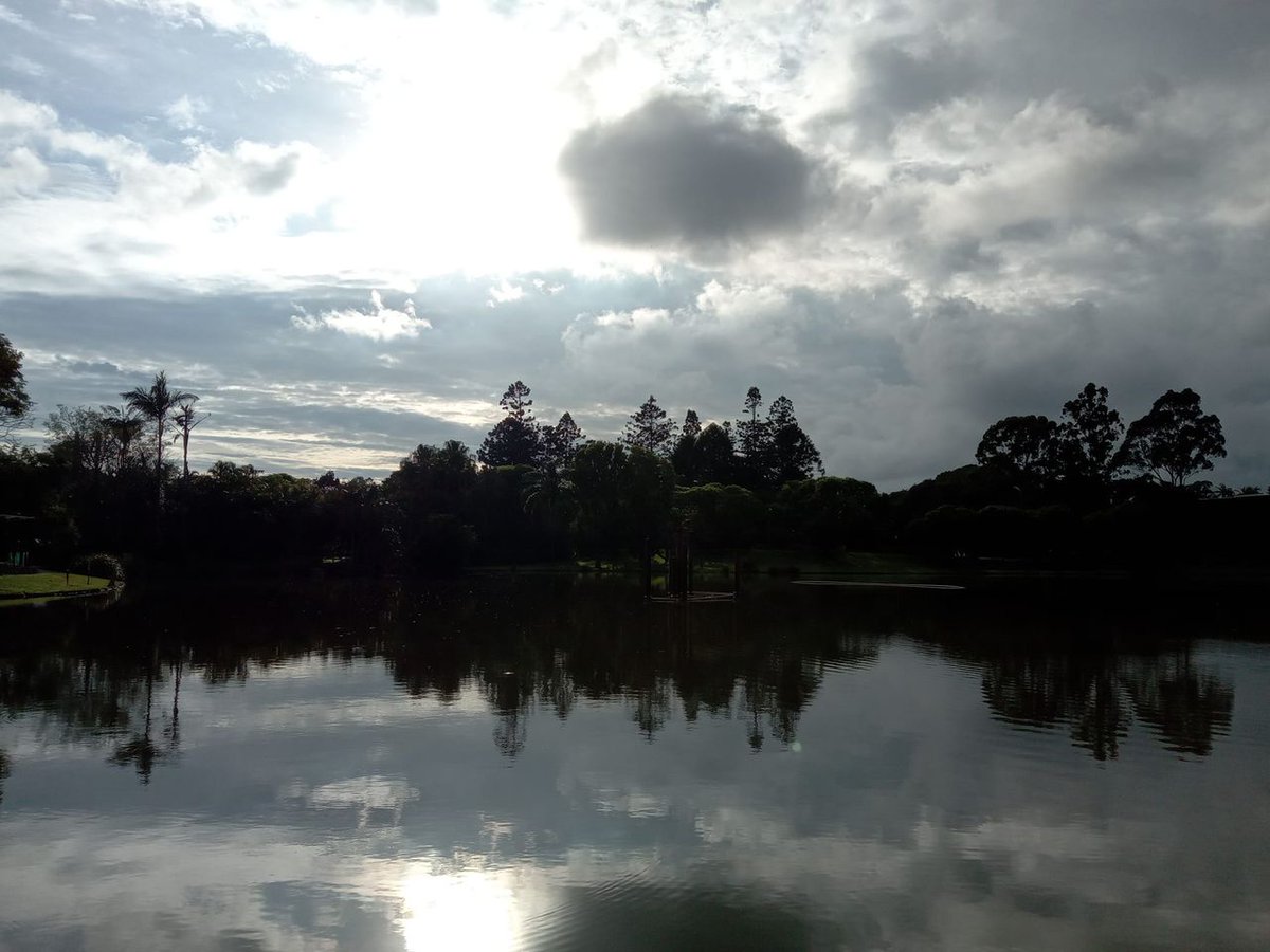 DeplazesEvelyne's tweet photo. Good morning from #UQlakes. #Brisbane 

7 am, 28 degrees and 76% humidity. 
800m walk from the ferry terminal to the office and I feel like I am melting 😰 https://t.co/9KcjcxDJTu