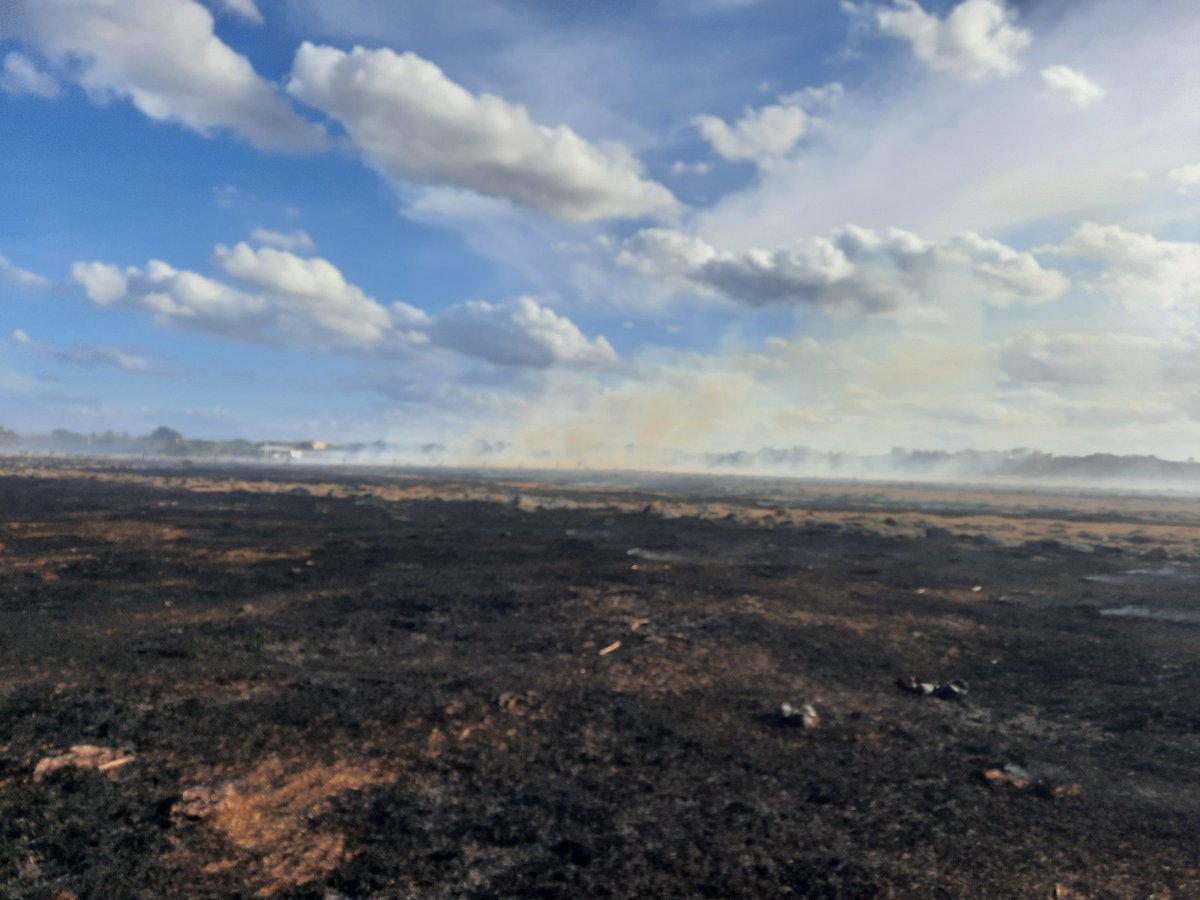 FFS_Myakka's tweet photo. #Badfire 200 acre Wildfire in #Desoto , 70% contained at this time. Cause yard waste, will update. https://t.co/URdC6MUc7s