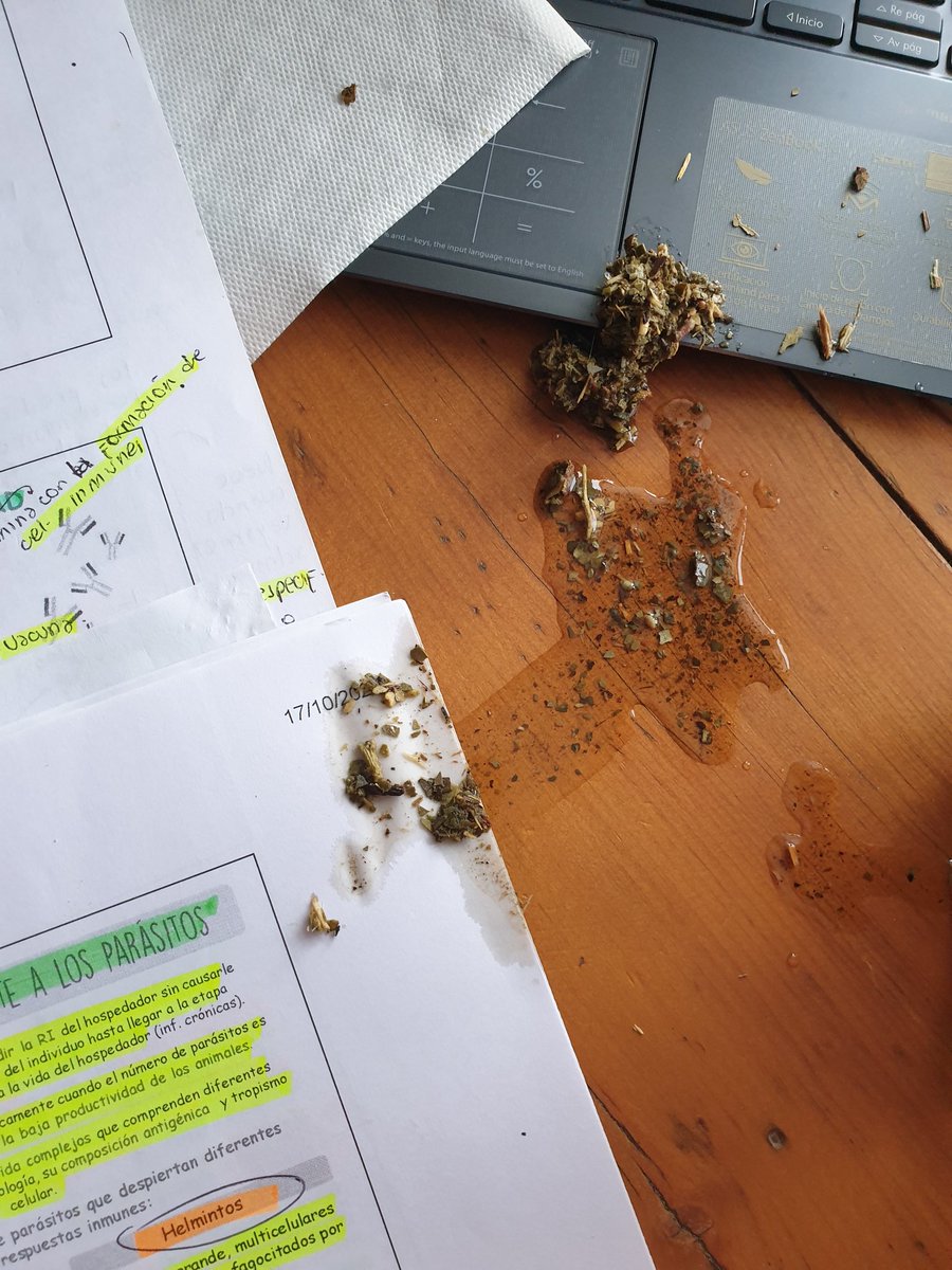 Rt para la suerte en los exámenes Febrero-Marzo🌟
(Ahora espero aprobar🙏)