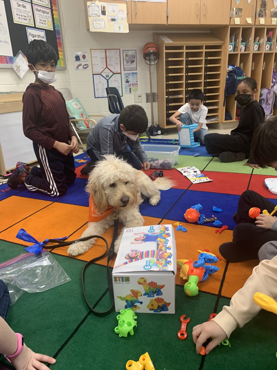 MECC_Counselor2's tweet photo. Shiner had a blast celebrating #GSPD2022 with his 2nd grade friends! #MVP #MostValuablePup #ShinerLove #dogsofMason #schoolcounselor @MrsBly_MECC @MasonSchools https://t.co/y9n1n4Jtxj