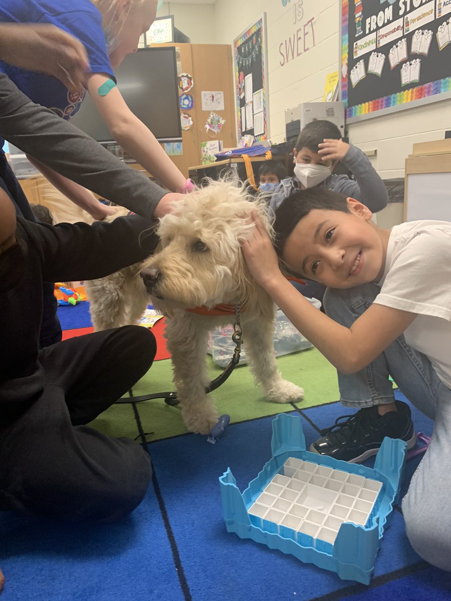 MECC_Counselor2's tweet photo. Shiner had a blast celebrating #GSPD2022 with his 2nd grade friends! #MVP #MostValuablePup #ShinerLove #dogsofMason #schoolcounselor @MrsBly_MECC @MasonSchools https://t.co/y9n1n4Jtxj